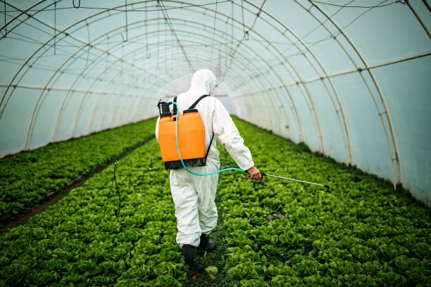 Best Pest Removal Services  in New Britain, CT