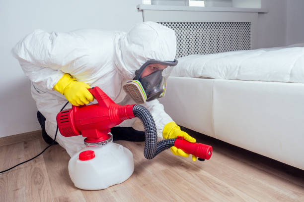 Wasp Removal Services in New Britain, CT