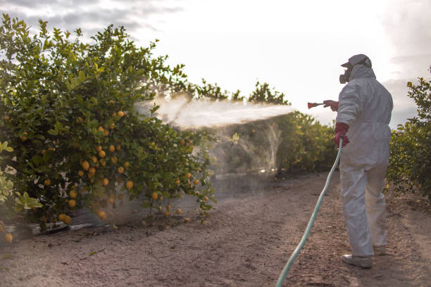 Best Pest Prevention Services  in New Britain, CT