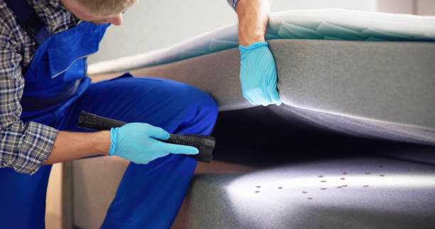 Best Best Pest Control Companies  in New Britain, CT