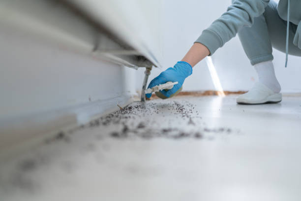 Best Commercial Pest Control Services  in New Britain, CT