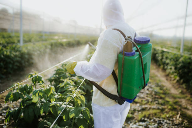 Best Pest Control Near Me  in New Britain, CT